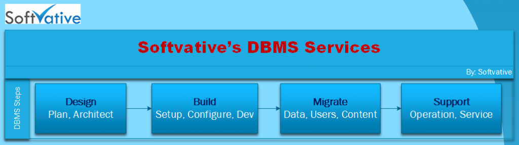 Softvative DBMS Service Model