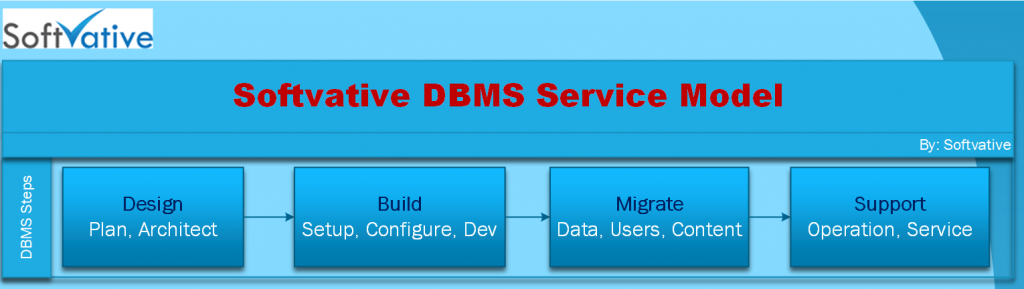 Softvative DBMS Service Model