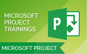 Microsoft Project Professional 2013/2016 Training